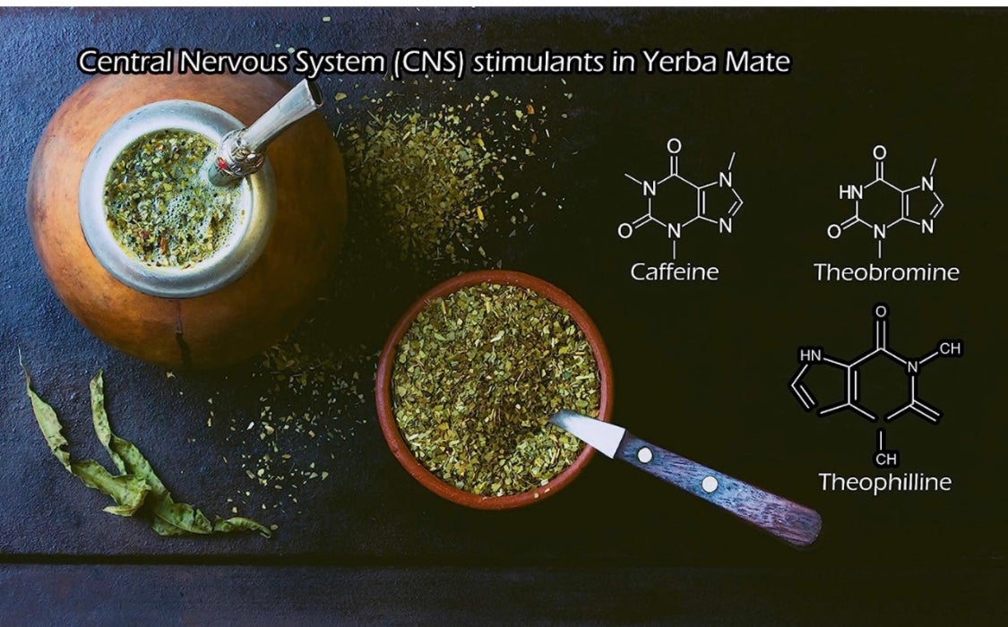Yerba Mate: the health benefits of the South American Superfood